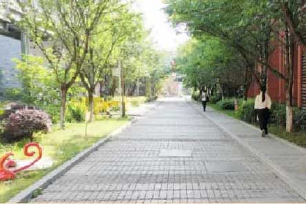 重庆学智堂高考培训学校校区环境